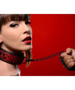 Crimson Tied Collar with Leash