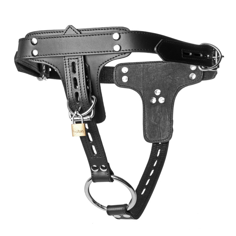 Premium Locking Leather Cock Ring and Anal Plug Harness - Image 3