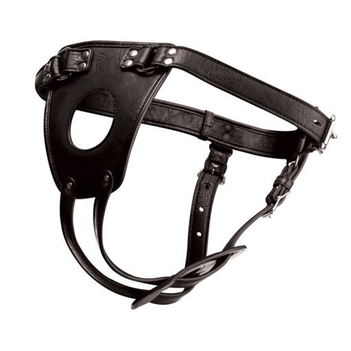 Ass Holster Anal Plug Harness - Image 3