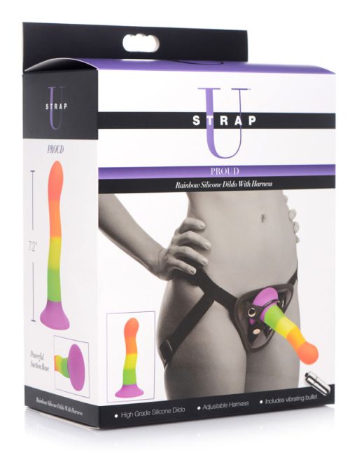 Proud Rainbow Silicone Dildo with Harness - Image 6