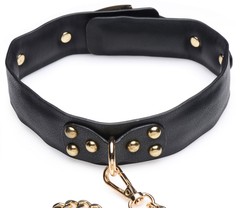 Gold Submission Bondage Kit - Image 6