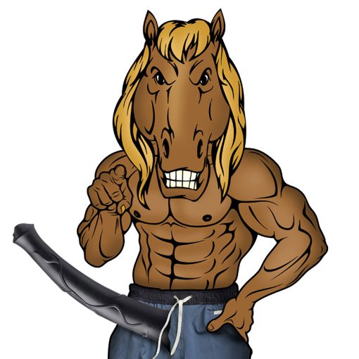 Pony Boy 17 Inch Horse Dildo - Image 3