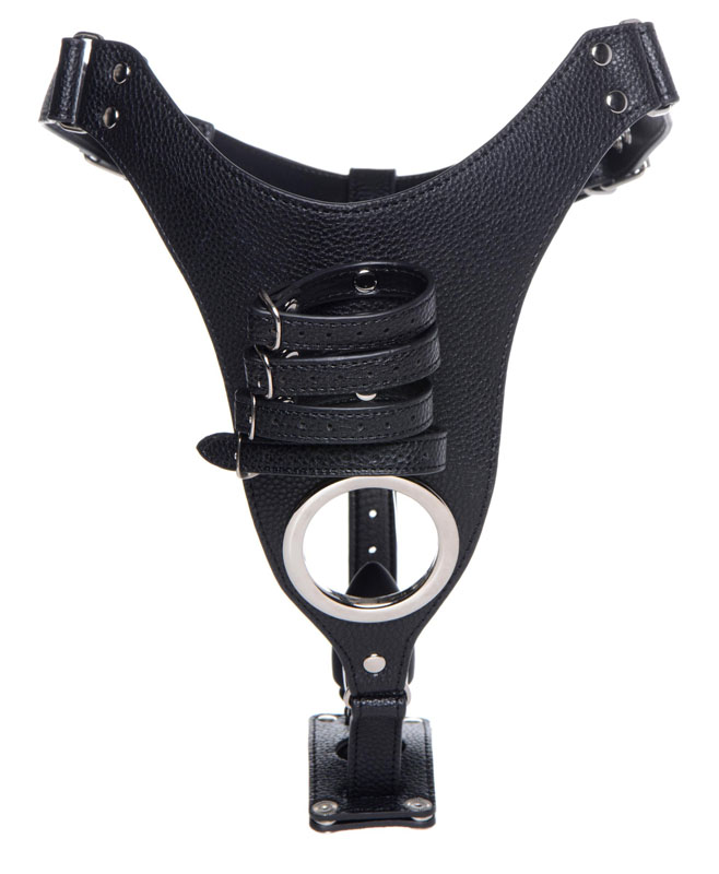 Male Chastity Harness with Silicone Anal Plug - Image 4