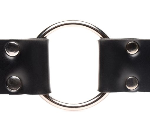 Strap and Ride Dildo Strap Harness - Image 5