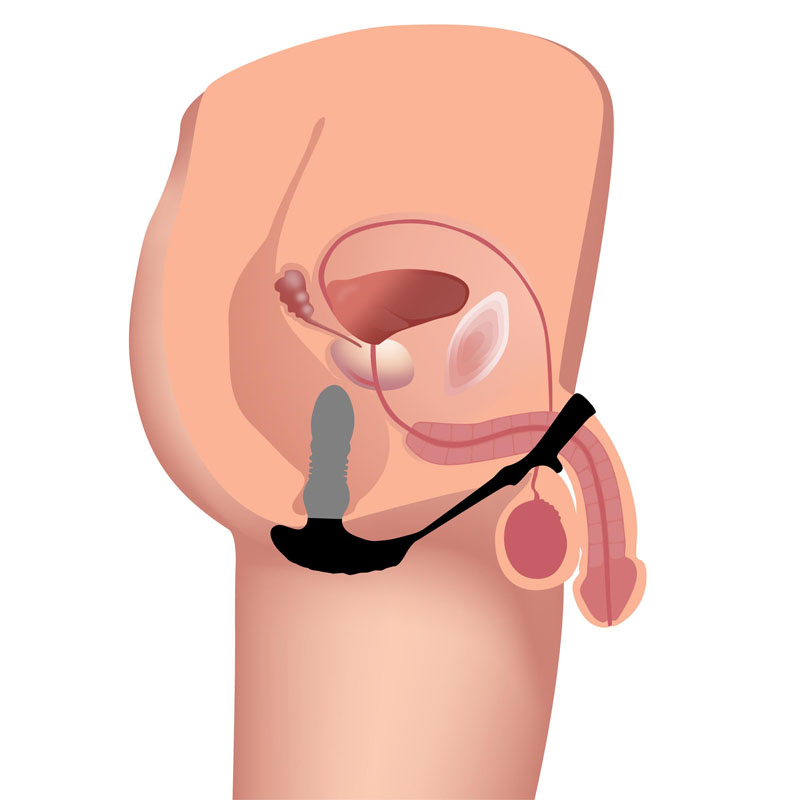 Thrusting Vibrator with Cock and Ball Ring and Remote - Image 4