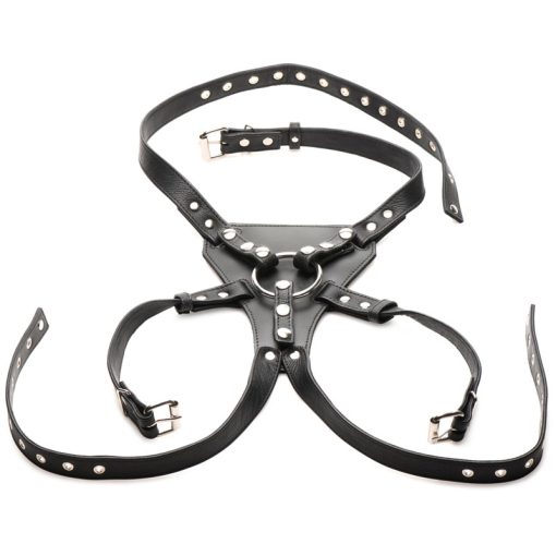 Daddy An Li Leather Strap-on Harness - SM - Image 5