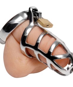 Detained Stainless Steel Chastity Cage