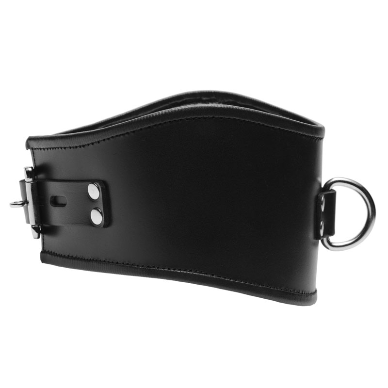 Padded Leather Locking Posture Collar - Image 2