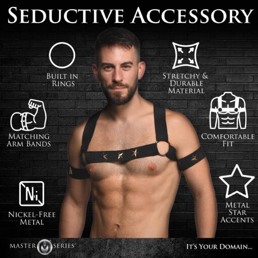 Rave Harness Elastic Chest Harness with Arm Bands - L/XL - Image 5