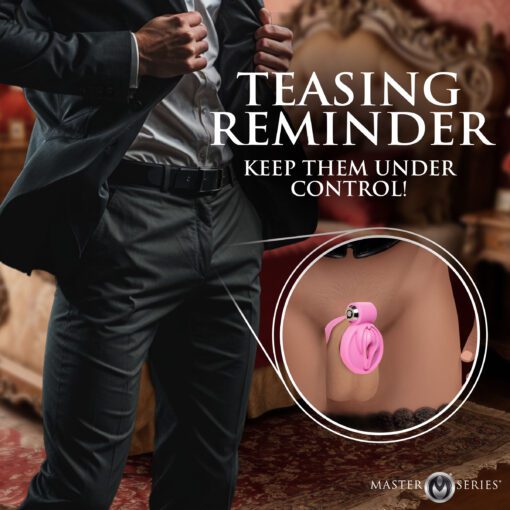 Pussification Vulva Chastity Cage - Image 4